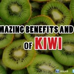 Healthy Reasons to Eat Kiwi !