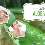 Ways to Use Aloe Vera to Skin and Hair