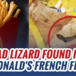 Woman Finds Dead Lizard In French Fries At McDonald’s