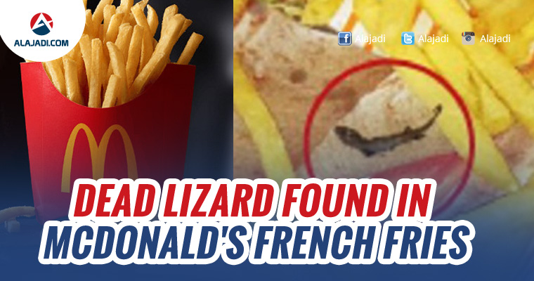 Dead lizard found in McDonalds french fries