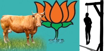 BJP contemplating to initiate Section 302 for cow slaughter