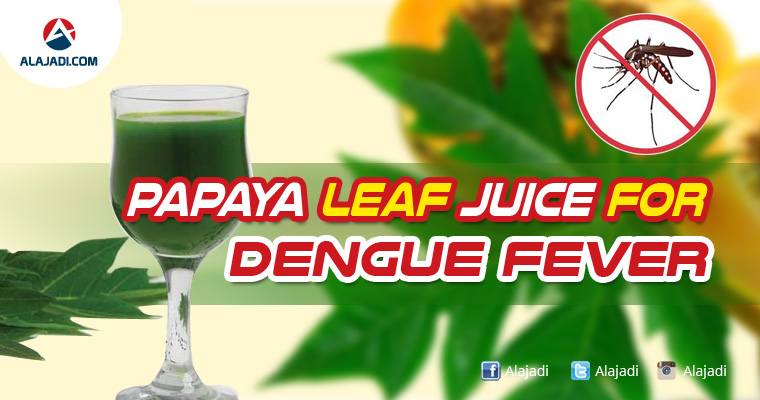 papaya-leaf-juice-for-dengue-fever