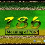 Why does the Muslim religion respect the number 786?