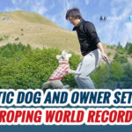 Most skips by a dog and a person – Guinness World Records