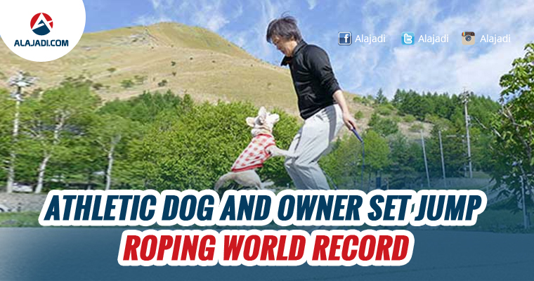 athletic-dog-and-owner-set-jump-roping-world-record