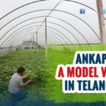 Ankapur, a role model for Telangana villages