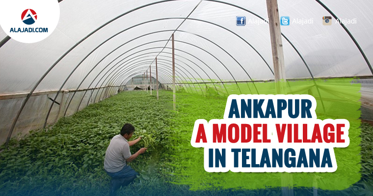 Ankapur A Model Village in Telangana